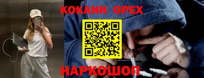 apvp Кимры