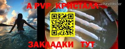 стаф Кингисепп