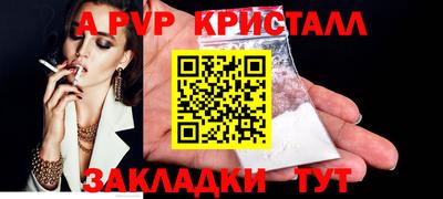 стаф Кингисепп