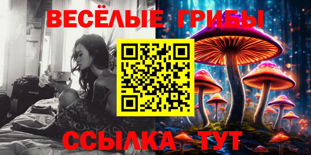 Кинешма  Галлюциногенные грибы мицелий  Вход с VPN 