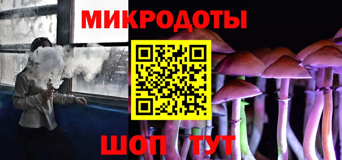 Псилоцибиновые грибы Cubensis Кинешма